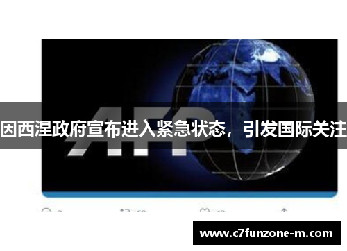 因西涅政府宣布进入紧急状态，引发国际关注